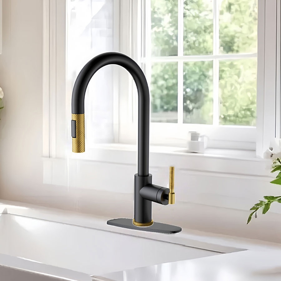 Mirozza DuoColor Matte Black and Gold Kitchen Faucet